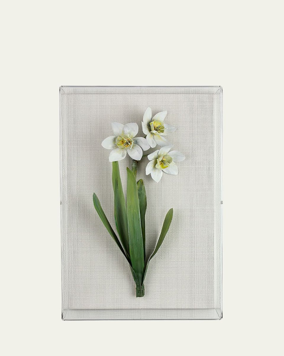 Narcissus December Birth Flower Wall Art